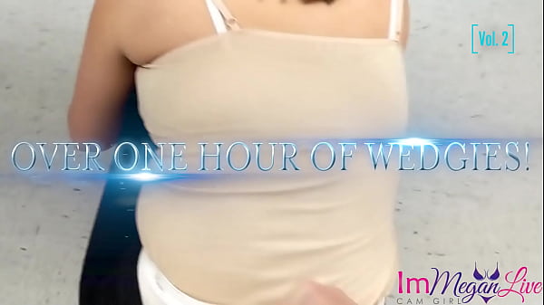 THE ULTIMATE PUBLIC WEDGIES COMPLETE BUNDLE - PREVIEW - ImMeganLive