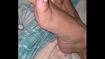 Pies Missus