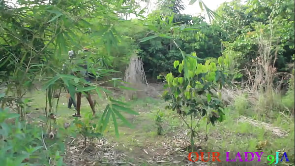 African Farmers Making Adore Intense In Their Farm Land While Harvesting Fruits Somewhere In Africa