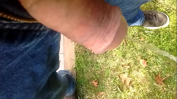 Pis