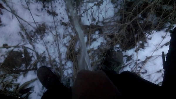 Morning Urine In The Snow
