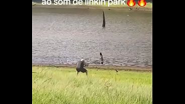 Idoso Contra 2 Quero Quero Ao Som De Linkin Park