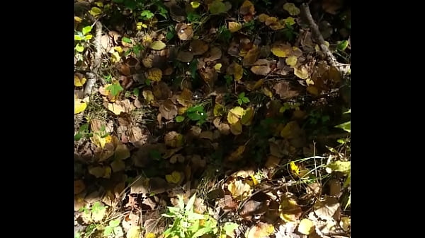 10 Cream Ropes In The Woods