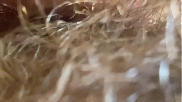 Extreme Close Up Enormous Button Vagina Behind