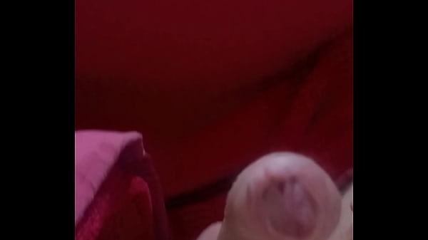 Chama O Novinho