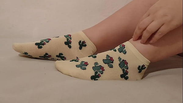 Cacti Cactoes