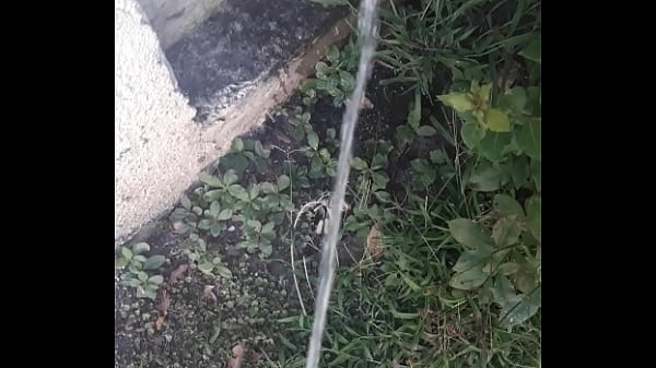 Meo Mañanero