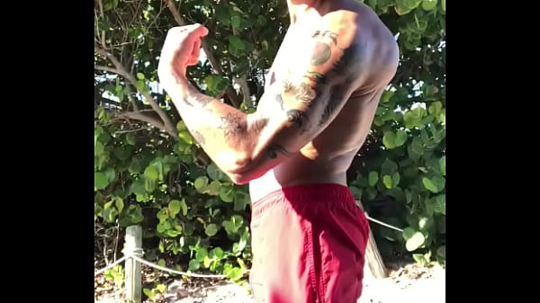 LIFEGUARD PORNSTAR