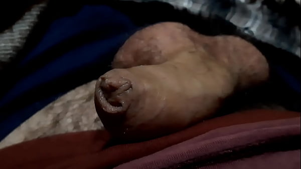 Levantando El Pene Con Un Buen Prepucio