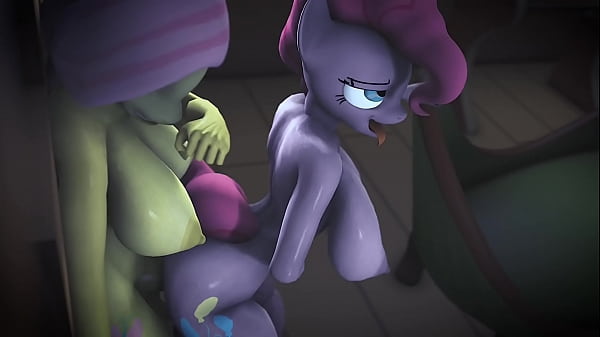 MLP - Compilation P15
