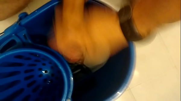 Gran Corrida De Polla Pequeña "dog Spunk"