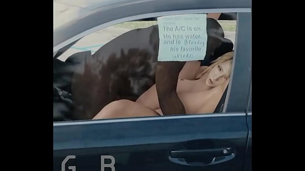 Samus Aran Sex In The Car (GeneralButch)