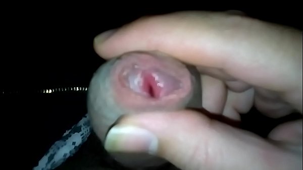 BIGGUS DICKUS (My Massive Shaft)