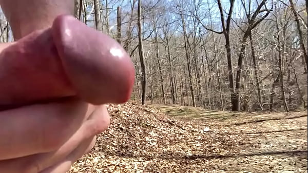 Getting Blazing On The Trail