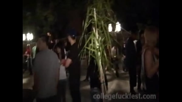 Homemade Teen Trio Sluts Gobble On Prick