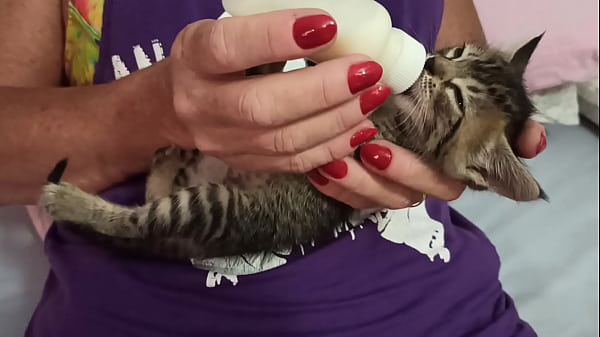 GATINHA NOVINHA MAMANDO GOSTOSO COM VONTADE ATÉ FICAR CHEIA DE LEITE.