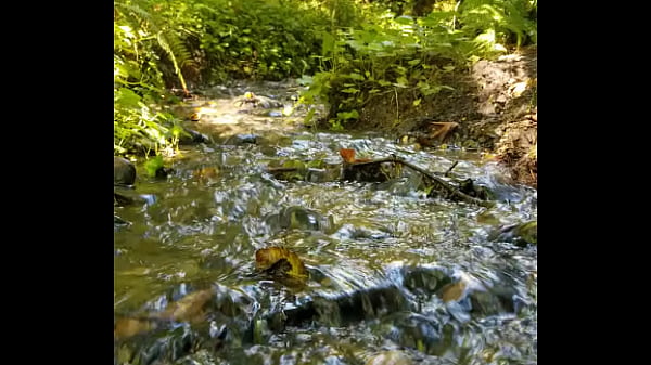 Flooding Fairy River Spurts Magic