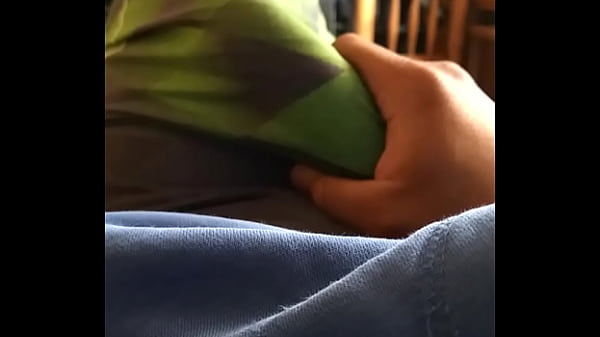 Pollon