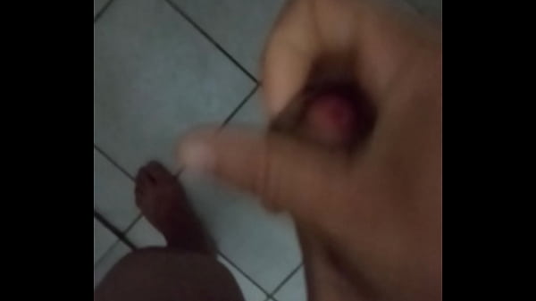 Evegaroro Pela Manha Mais Uma Vez