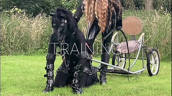 4-Day Ponyplay Schooling Compilation