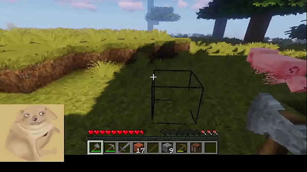 Gameplay Gostosa De Minecraft