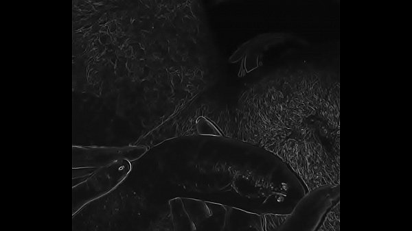 (Trippy)Cock Massage Mash-up ~ Dainty Red