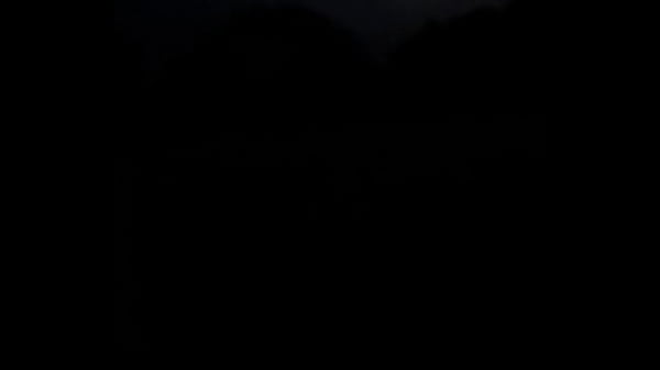 Night Prowlers Expose Reveal