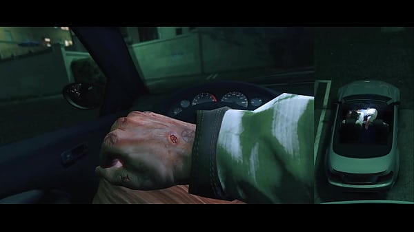 GTA 5 - Caught Having Sex With A Prostitute/Hooker With POV View