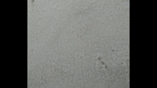 MOV 0006