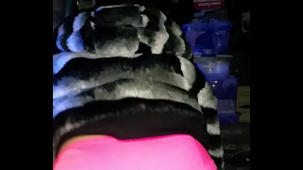 Bouncer 559