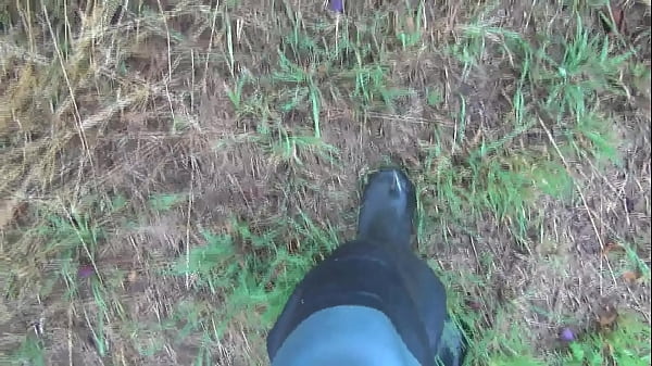Plums Under Preasure