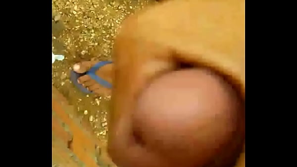 Gatinho 2 Quase Simpático