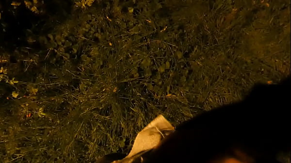 Masturbating At Night In Public Park - Wertert009