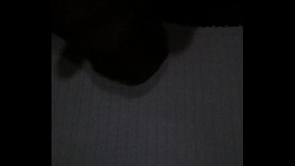 VID 20171028 233336