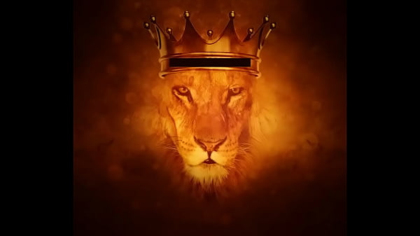 Lion , Might Battle , Lion