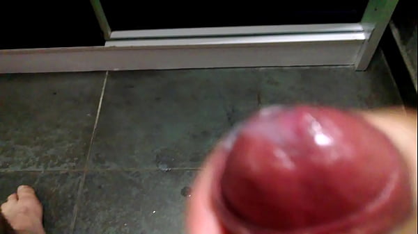 Meu Pau