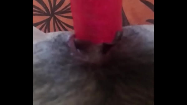 Bibrador