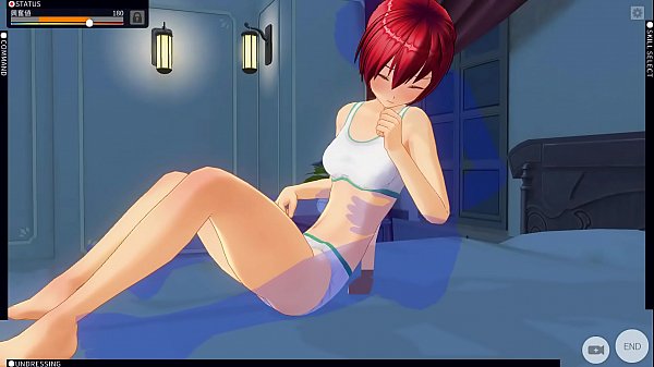 Custom Order Housemaid 3D2 02