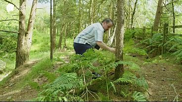 Down In The Woods - Part 01 Toys For Play - Lily Kink