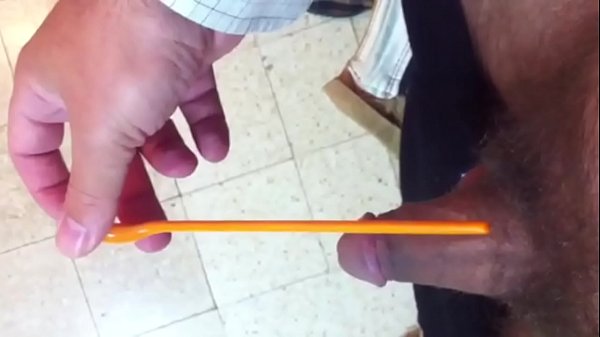 Peehole Insertion Shaft Sounding Pet R. Free Fixation Porn Videos HD Movies Clips
