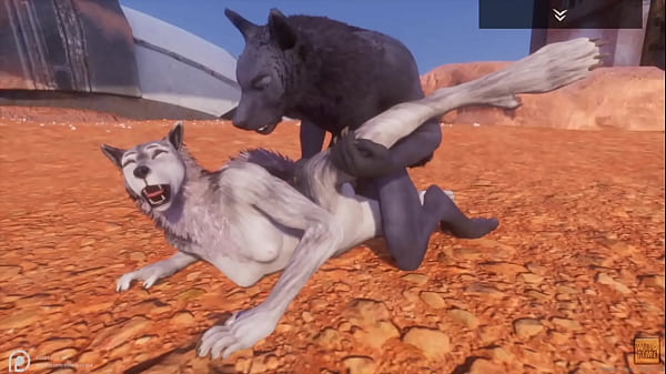 Lobo Alfa Comendo A Loba Gostosa Em Untamed Life