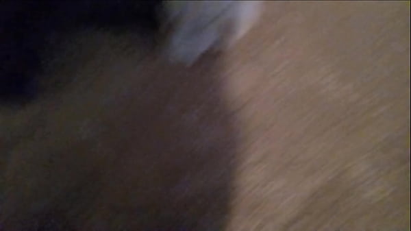 Fastest Dry Jack Of World 2