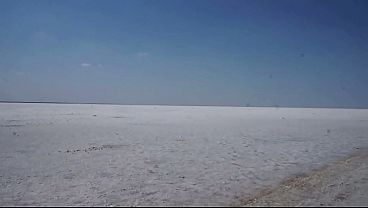 White Salt Of Desert