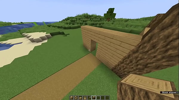 How To Build A Starter House In Minecraft