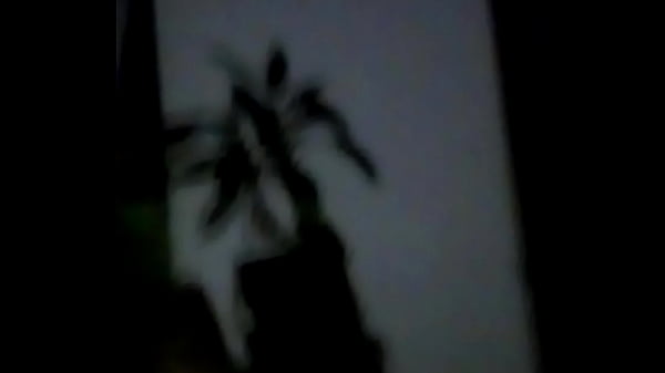 VID 20161129 204034
