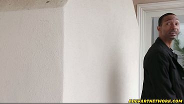 DOGFART - Rebel Rhyder - Two Married Studs, Two Holes, One Crazy DP