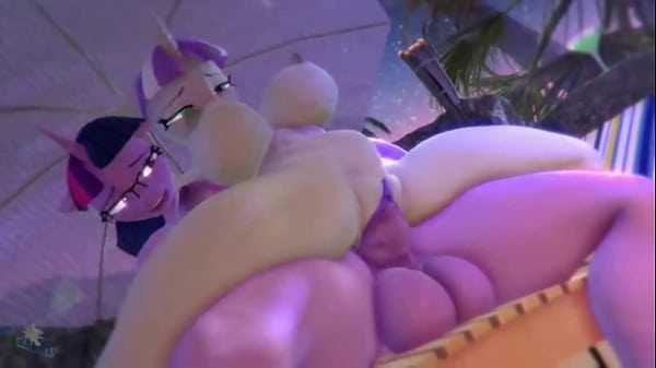 MLP - Compilation P7