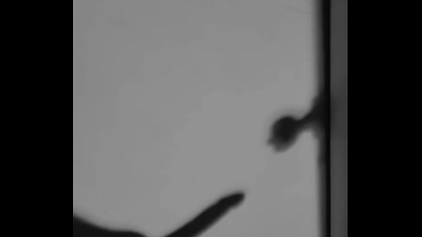 Shadow Puppets