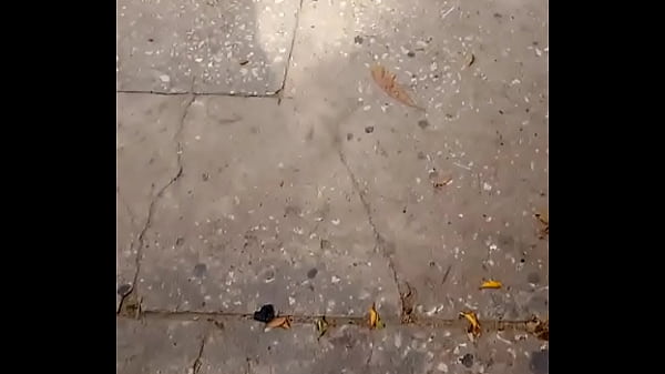 Nalgas En La Calle 2