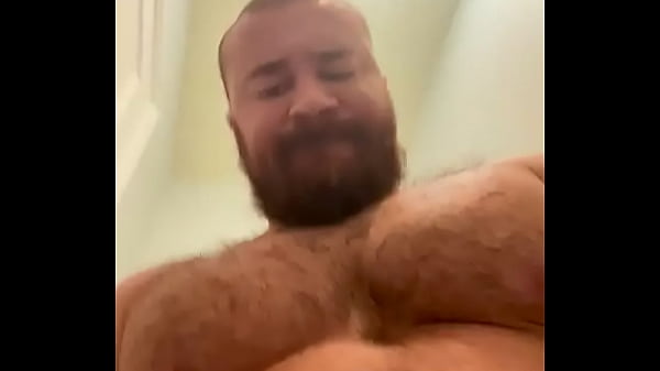 Massive Shaft Hairy Belly Precum Beefy Musclebear Bodybuilder Sexy Alpha Beast Exposes His Oozing Prick